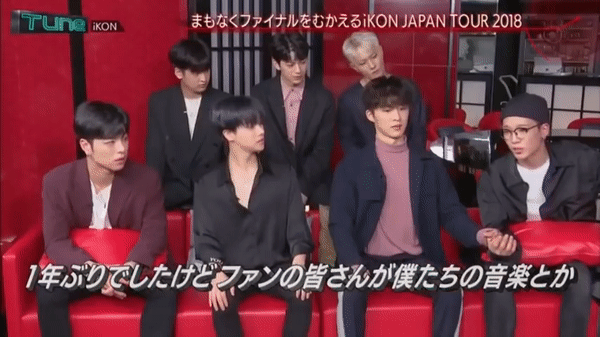 Những khoảnh khắc yêu muốn chết của thánh skinship B.I và 'nạn nhân' Bobby (IKON) Những khoảnh khắc yêu muốn chết của thánh skinship B.I và 'nạn nhân' Bobby (IKON)