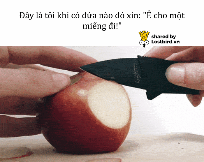 Kho ảnh bất tận ngập tràn tiếng cười về đồ ăn Kho ảnh bất tận ngập tràn tiếng cười về đồ ăn
