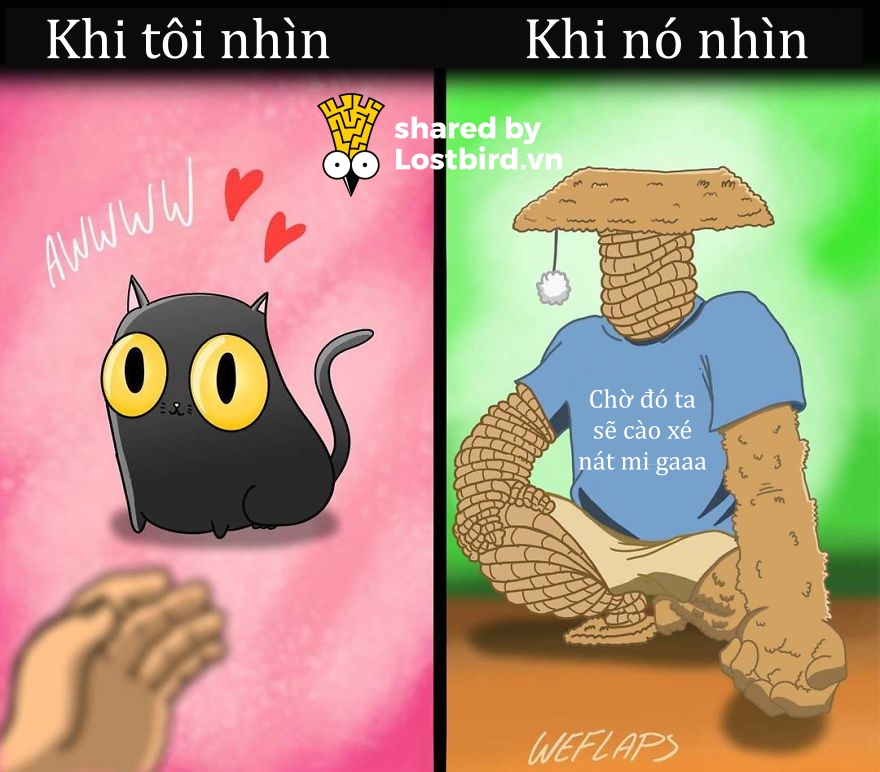 Mời các bạn đến với series phim ăn khách nhất mọi thời đại: 'Sống Chung Với Mèo' Mời các bạn đến với series phim ăn khách nhất mọi thời đại: 'Sống Chung Với Mèo'