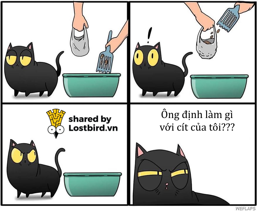 Mời các bạn đến với series phim ăn khách nhất mọi thời đại: 'Sống Chung Với Mèo' Mời các bạn đến với series phim ăn khách nhất mọi thời đại: 'Sống Chung Với Mèo'