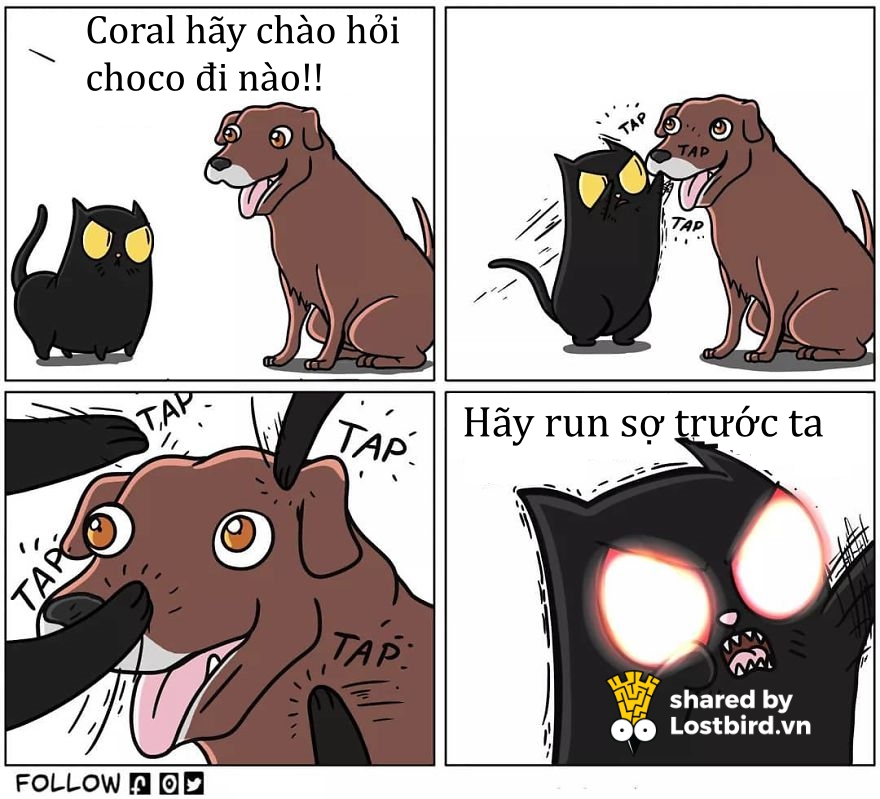 Mời các bạn đến với series phim ăn khách nhất mọi thời đại: 'Sống Chung Với Mèo' Mời các bạn đến với series phim ăn khách nhất mọi thời đại: 'Sống Chung Với Mèo'