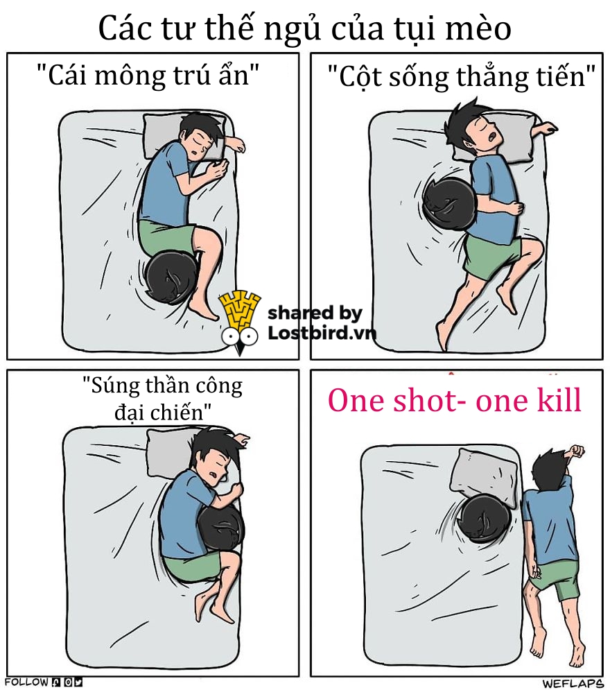 Mời các bạn đến với series phim ăn khách nhất mọi thời đại: 'Sống Chung Với Mèo' Mời các bạn đến với series phim ăn khách nhất mọi thời đại: 'Sống Chung Với Mèo'