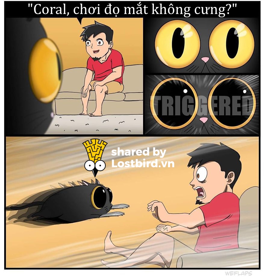 Mời các bạn đến với series phim ăn khách nhất mọi thời đại: 'Sống Chung Với Mèo' Mời các bạn đến với series phim ăn khách nhất mọi thời đại: 'Sống Chung Với Mèo'