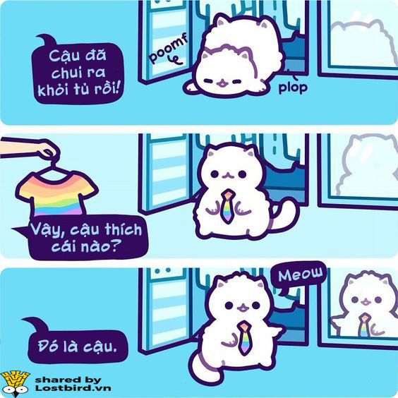 Những hiểu lầm thường gặp về người song tính Những hiểu lầm thường gặp về người song tính