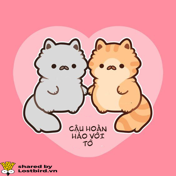 Những hiểu lầm thường gặp về người song tính Những hiểu lầm thường gặp về người song tính