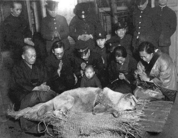 'Xuyên không' cùng những bức ảnh lịch sử quý hiếm chụp 'đúng người đúng thời điểm' 'Xuyên không' cùng những bức ảnh lịch sử quý hiếm chụp 'đúng người đúng thời điểm'
