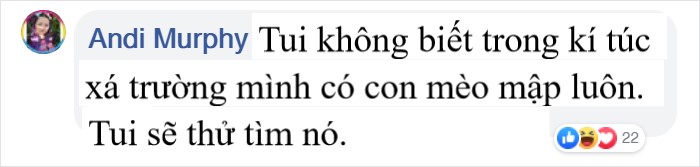 Sinh viên phải dán thông báo ngăn mọi người cho chú mèo sống trong trường ăn vì nó đã quá béo phì Sinh viên phải dán thông báo ngăn mọi người cho chú mèo sống trong trường ăn vì nó đã quá béo phì