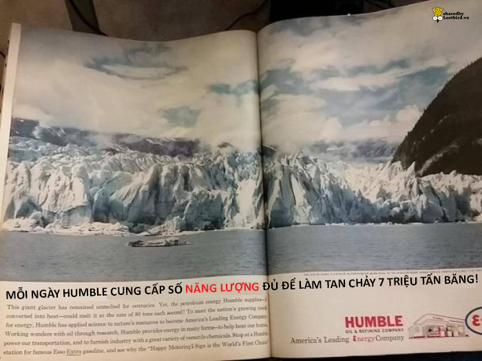 Những người bị nghiệp quật bởi chính câu nói của mình năm xưa: Đến Tổng thống Trump cũng là nạn nhân Những người bị nghiệp quật bởi chính câu nói của mình năm xưa: Đến Tổng thống Trump cũng là nạn nhân