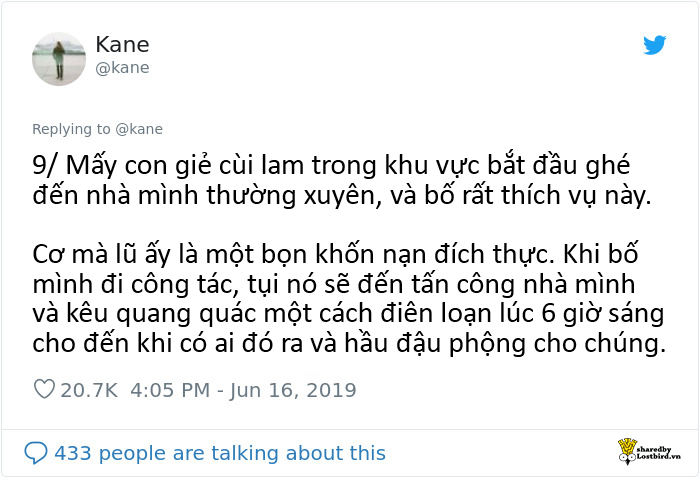Quý tử lập hẳn danh sách các giai thoại ‘tỉnh’ nhất của bố và khiến ông tỏa sáng toàn mạng xã hội Quý tử lập hẳn danh sách các giai thoại ‘tỉnh’ nhất của bố và khiến ông tỏa sáng toàn mạng xã hội