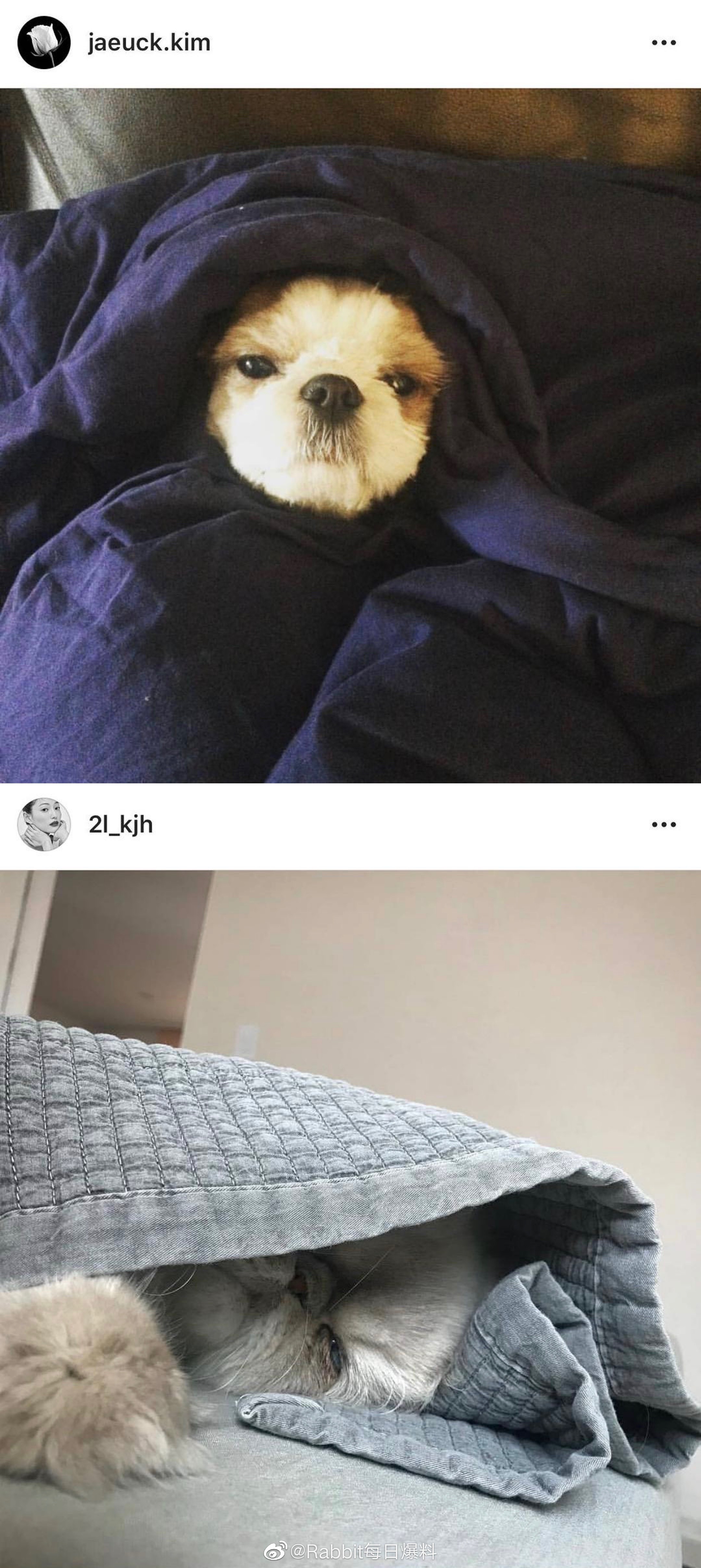 Lộ loạt ảnh chứng minh tài tử Kim Jae Wook đang hẹn hò cùng mỹ nhân Hoa Du Kí? Lộ loạt ảnh chứng minh tài tử Kim Jae Wook đang hẹn hò cùng mỹ nhân Hoa Du Kí?