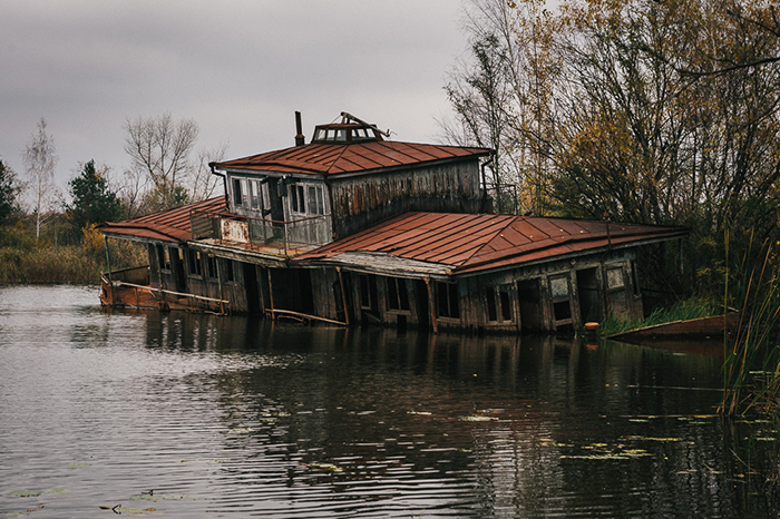 Sau thảm hoạ Chernobyl, Mẹ Thiên nhiên vẫn có cách cứu vớt những 'đứa con' của mình Sau thảm hoạ Chernobyl, Mẹ Thiên nhiên vẫn có cách cứu vớt những 'đứa con' của mình
