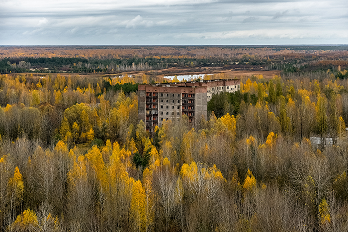 Sau thảm hoạ Chernobyl, Mẹ Thiên nhiên vẫn có cách cứu vớt những 'đứa con' của mình Sau thảm hoạ Chernobyl, Mẹ Thiên nhiên vẫn có cách cứu vớt những 'đứa con' của mình