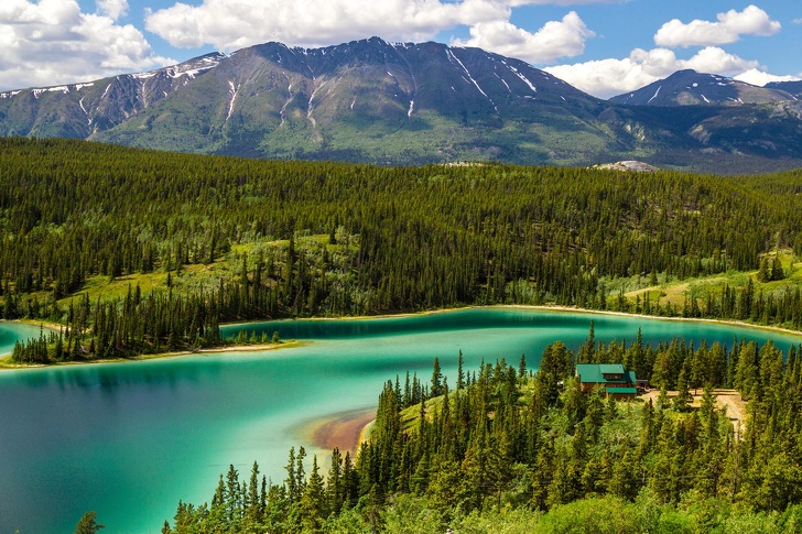 Bạn có biết ngỗng Canada là một loài rất 'cục súc'? Bạn có biết ngỗng Canada là một loài rất 'cục súc'?