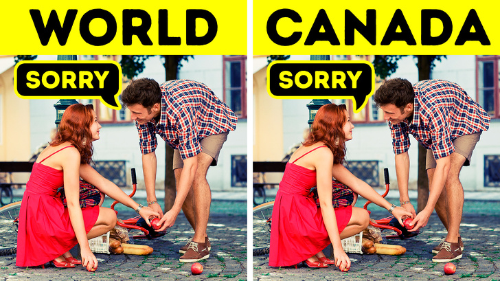 Bạn có biết ngỗng Canada là một loài rất 'cục súc'? Bạn có biết ngỗng Canada là một loài rất 'cục súc'?