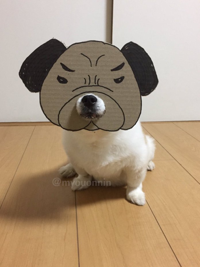 Khi ‘sen’ khiến ‘boss’ đáng yêu hơn với loạt hình cosplay cùng bìa các tông Khi ‘sen’ khiến ‘boss’ đáng yêu hơn với loạt hình cosplay cùng bìa các tông