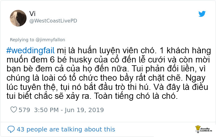 Dạo một vòng Twitter với #WeddingFail - thế giới vẫn luôn có những đám cưới hài hước, drama đến mức khó quên Dạo một vòng Twitter với #WeddingFail - thế giới vẫn luôn có những đám cưới hài hước, drama đến mức khó quên