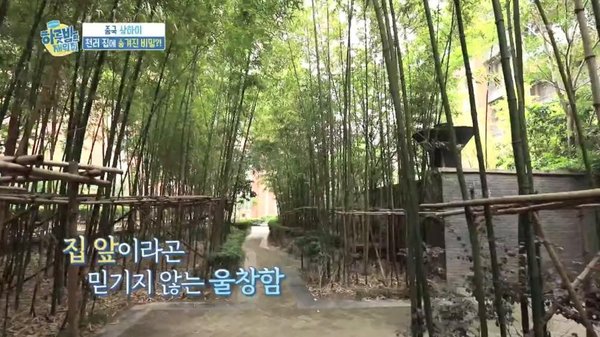 Các idol K-Pop con nhà 'trâm anh thế phiệt' nhưng ít người biết, gà SM gia thế khủng nhất Các idol K-Pop con nhà 'trâm anh thế phiệt' nhưng ít người biết, gà SM gia thế khủng nhất