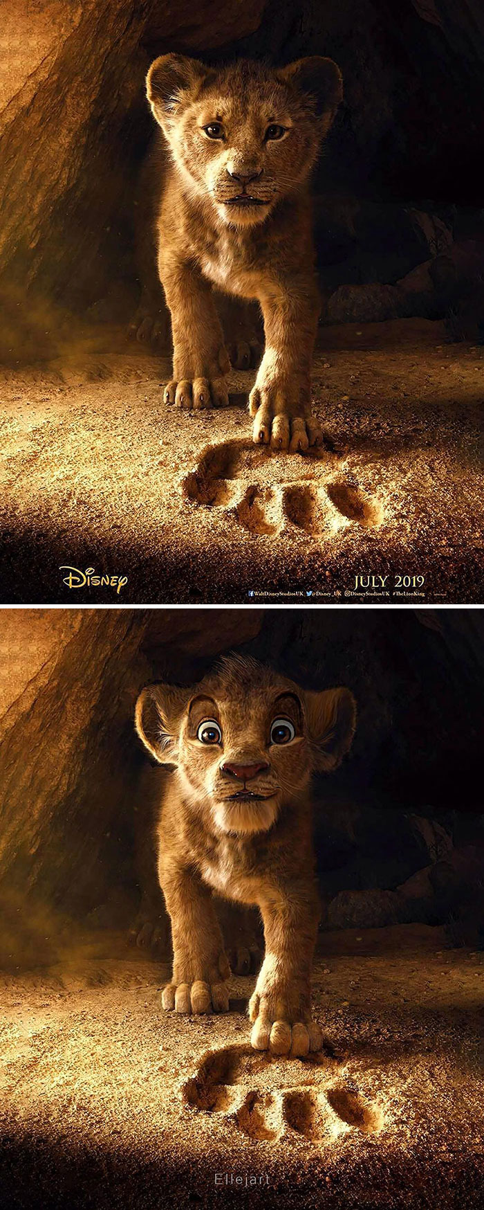 Những bức ảnh 'Vua Sư Tử' do fan edit còn chân thật nhìn mê hơn cả live action của Disney Những bức ảnh 'Vua Sư Tử' do fan edit còn chân thật nhìn mê hơn cả live action của Disney