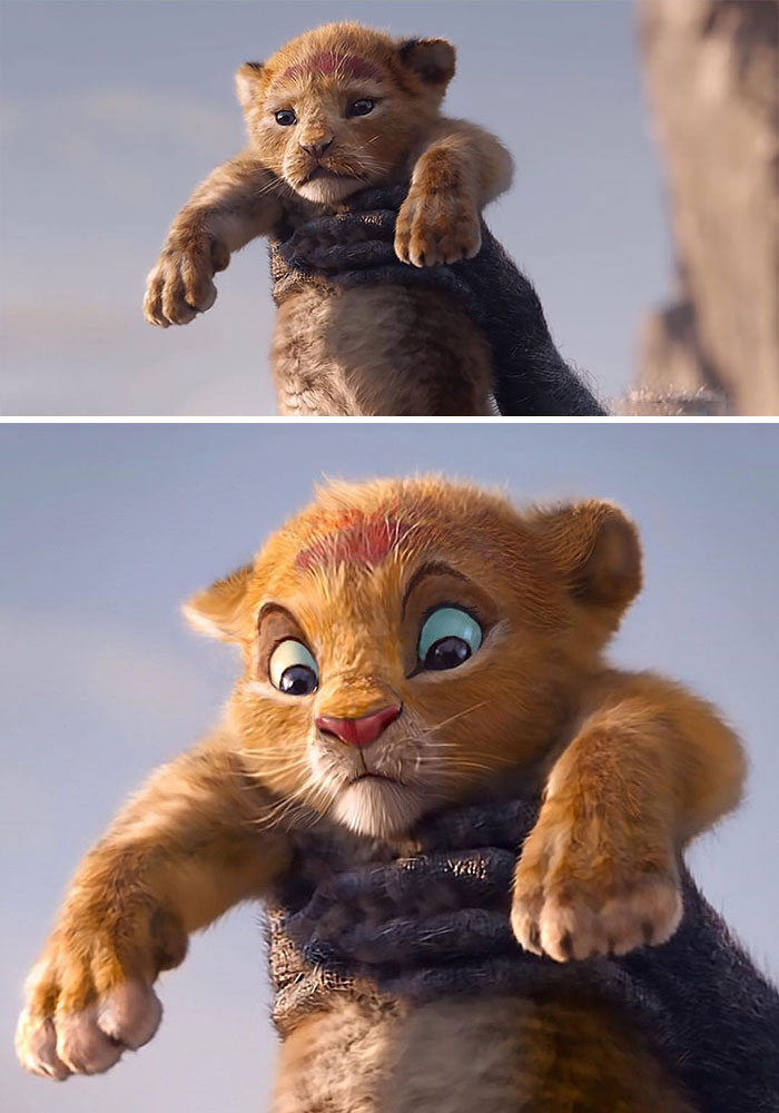 Những bức ảnh 'Vua Sư Tử' do fan edit còn chân thật nhìn mê hơn cả live action của Disney Những bức ảnh 'Vua Sư Tử' do fan edit còn chân thật nhìn mê hơn cả live action của Disney