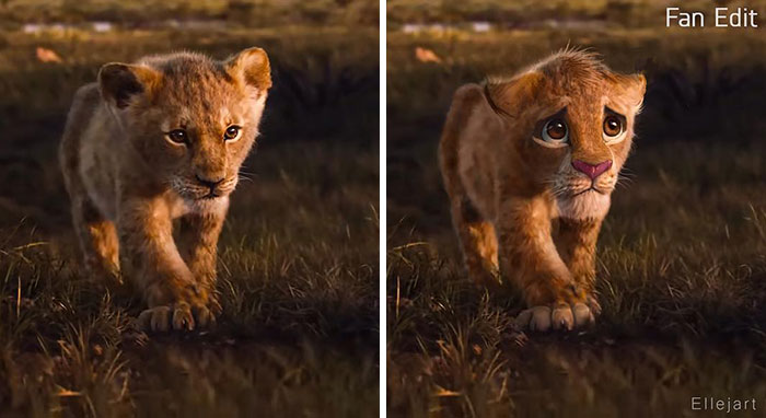 Những bức ảnh 'Vua Sư Tử' do fan edit còn chân thật nhìn mê hơn cả live action của Disney Những bức ảnh 'Vua Sư Tử' do fan edit còn chân thật nhìn mê hơn cả live action của Disney