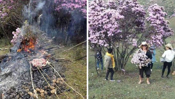 24 bức ảnh khiến bạn nghẹn lời trước ý thức 'âm vô cực' của một bộ phận khách du lịch trên thế giới 24 bức ảnh khiến bạn nghẹn lời trước ý thức 'âm vô cực' của một bộ phận khách du lịch trên thế giới
