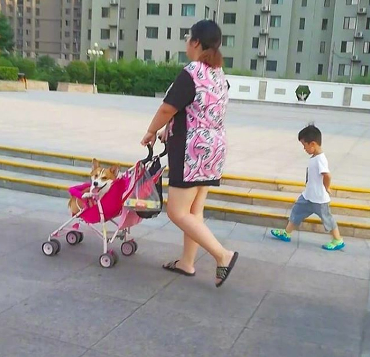 Những bức ảnh cho thấy nỗi đau thực sự là như thế nào Những bức ảnh cho thấy nỗi đau thực sự là như thế nào