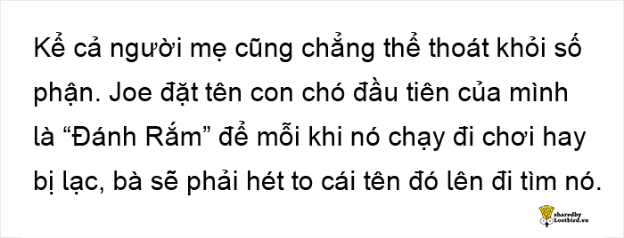 Dân mạng cảm động với cáo phó hài hước con gái viết cho cha - là người tốt ắt sẽ được nhớ mãi Dân mạng cảm động với cáo phó hài hước con gái viết cho cha - là người tốt ắt sẽ được nhớ mãi