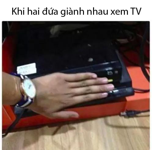 Những tình cảnh éo le mà con một chẳng bao giờ hiểu được Những tình cảnh éo le mà con một chẳng bao giờ hiểu được