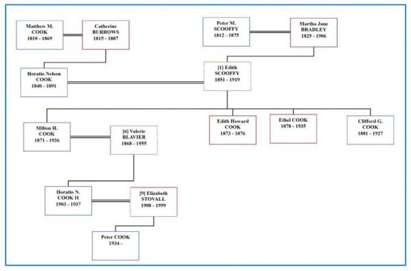 family tree