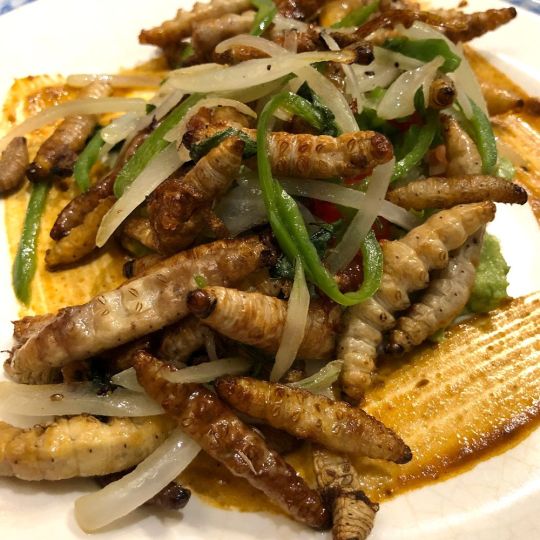 Hết hồn với thực đơn của chị gái yêu môi trường: trứng chiên kiến, pizza dế, sâu xào rau Hết hồn với thực đơn của chị gái yêu môi trường: trứng chiên kiến, pizza dế, sâu xào rau