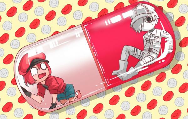 Anime 'Hataraku Saibou': Sẽ thế nào nếu một ngày các tế bào biến thành trai xinh, gái đẹp và... yêu nhau? Anime 'Hataraku Saibou': Sẽ thế nào nếu một ngày các tế bào biến thành trai xinh, gái đẹp và... yêu nhau?