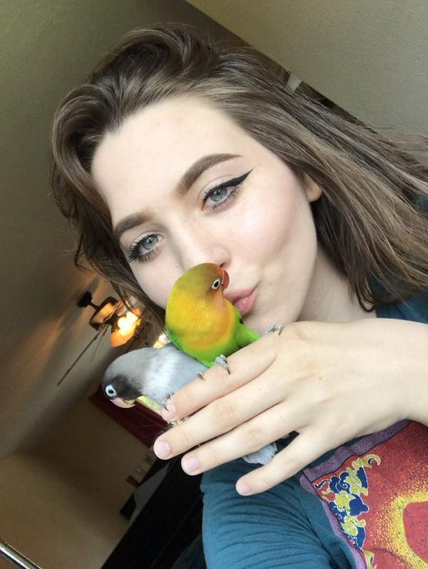 the internet fell in love with the story of the parakeet and his gothic girlfriend not to mention the children who came after wonderful 5b4d92b7a1b4a 700