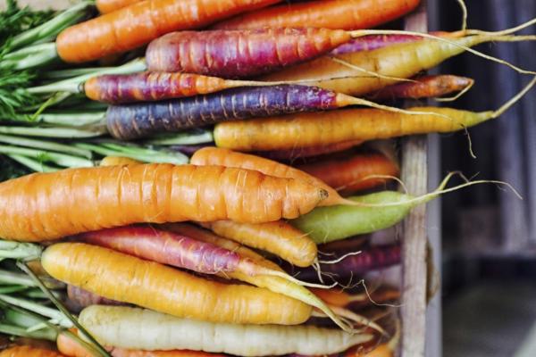 carrots contain vitamin a