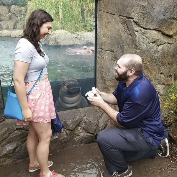 bear photobombs wedding 5b9a07374fd22 700