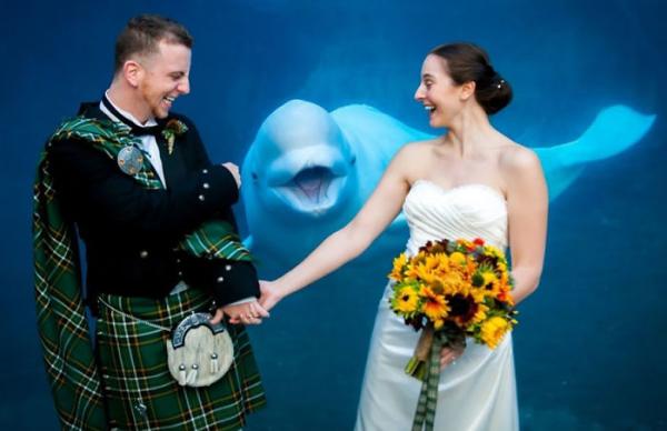bear photobombs wedding 5b9a079e4140a 700