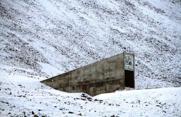 global seed vault