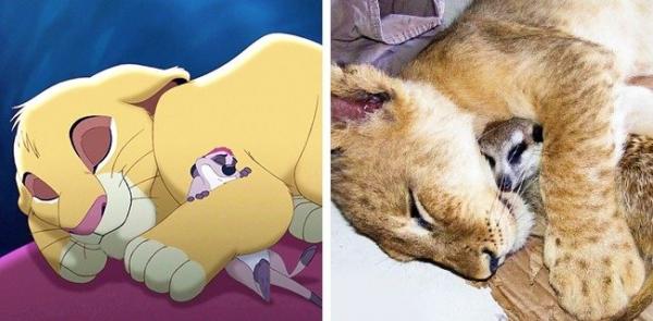 13 36