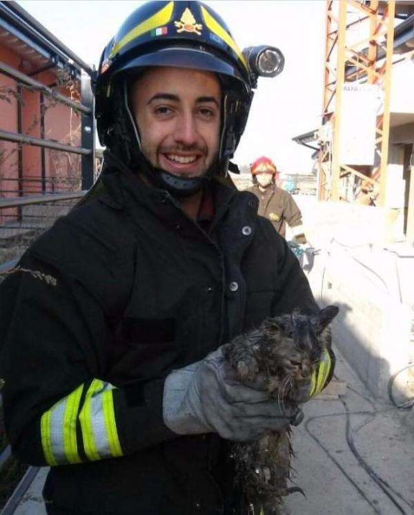 cat4