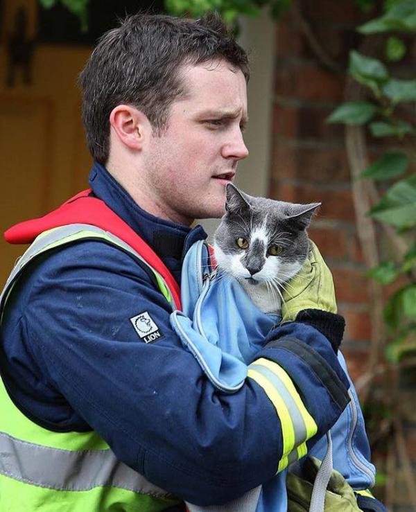 cat6