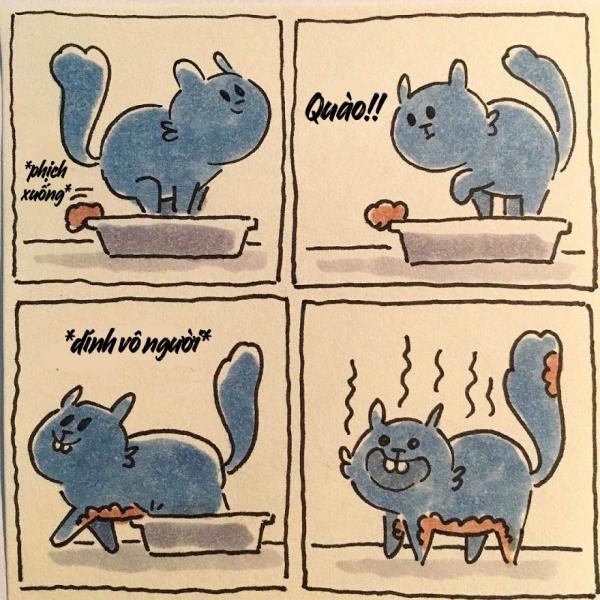 cat moments 1