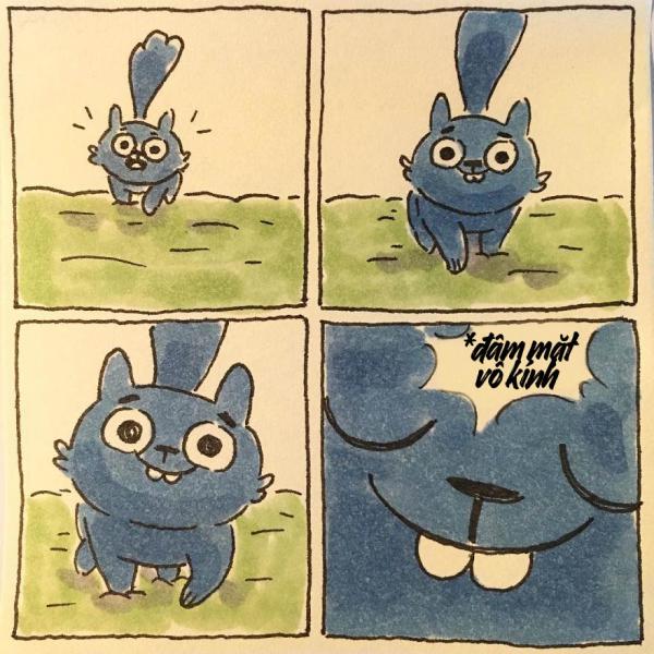 cat moments 11