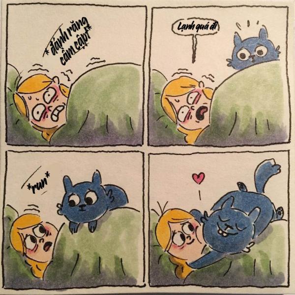 cat moments 7