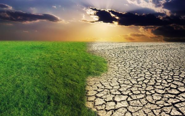 green grass and cracked desert