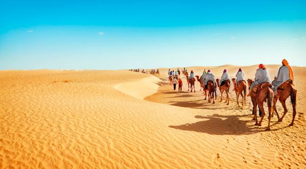 nubians
