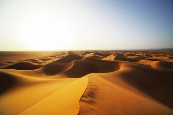 sahara