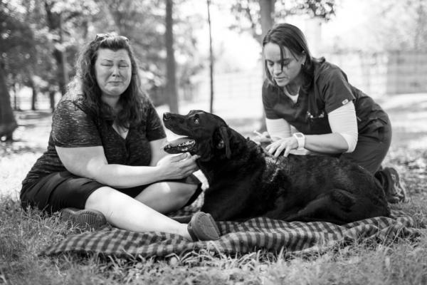 emotional photos 16 1