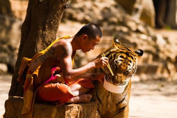 human emotion powerful photos 10