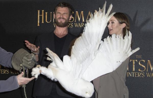 Những tình huống 'xấu hổ chưa kìa' khiến các sao Hollywood chỉ muốn 'độn thổ' Những tình huống 'xấu hổ chưa kìa' khiến các sao Hollywood chỉ muốn 'độn thổ'