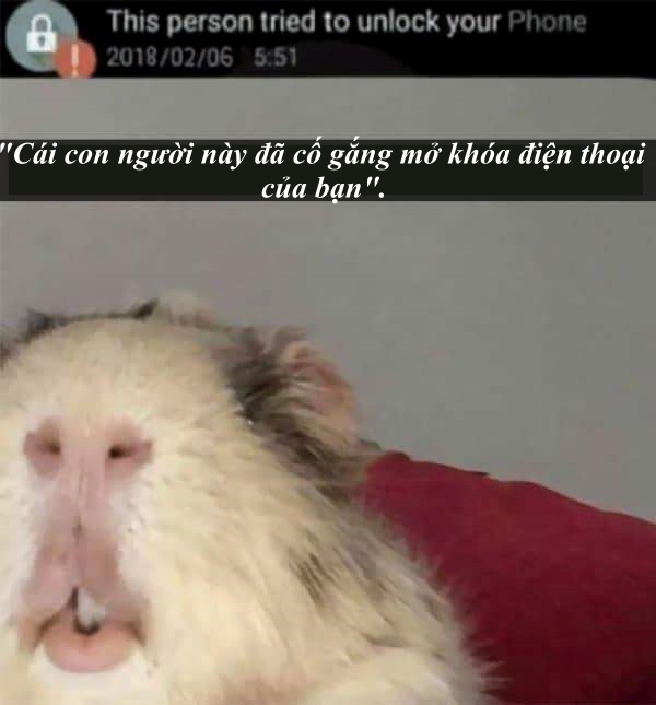43341675 1889804197793568 2699198757248958464 n