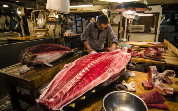tsukiji fish market tuna nathan vennekens1